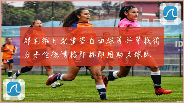 邓利维计划重签自由球员并寻找得分手伦德博格即插即用助力球队