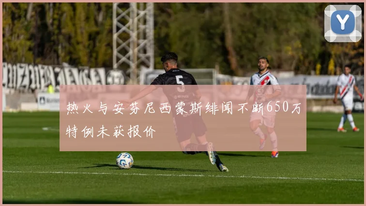 热火与安芬尼西蒙斯绯闻不断650万特例未获报价